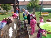 Zakládáme bylinkovou zahrádku